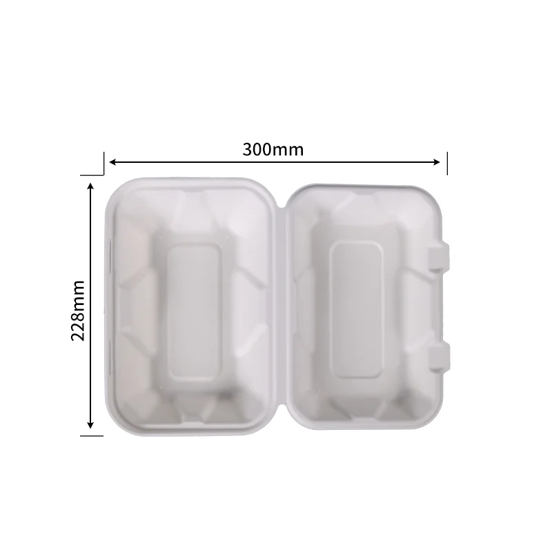 9X15.2 cm Clamshell · Sugarcane Clamshells · product image
